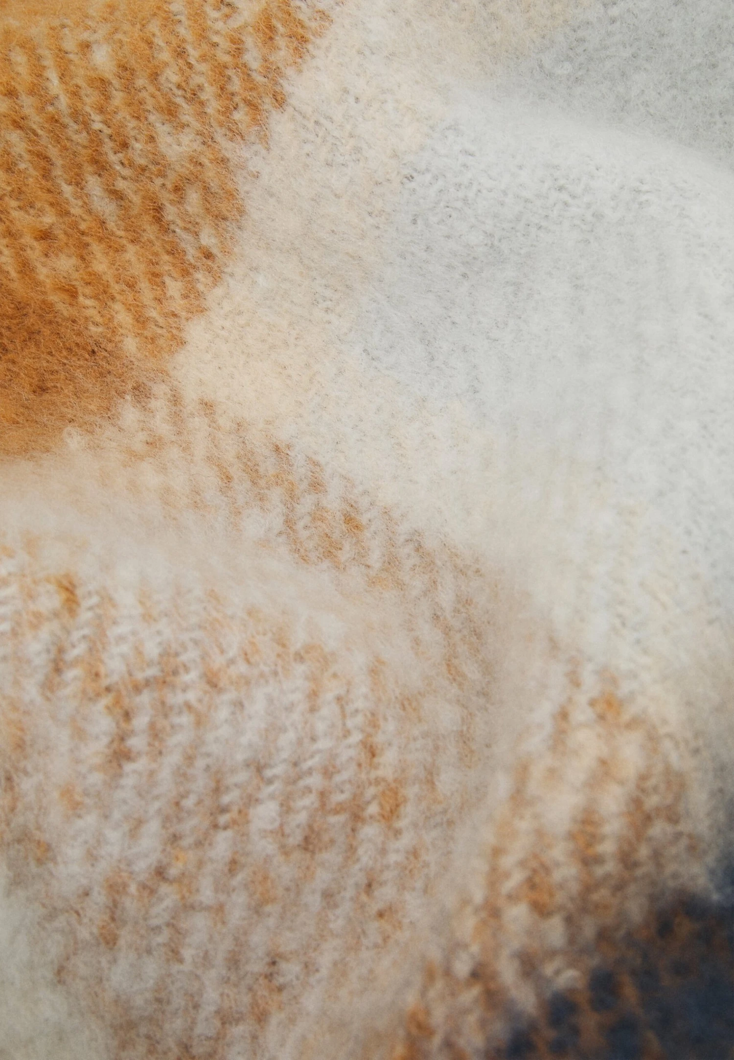 Anna Field Sjaal - Brown/White/Blue - Afbeelding 2